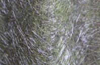 Beam Bridge fibreglass roof work